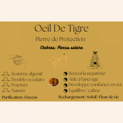 Boucle d'oreille Œil de Tigre