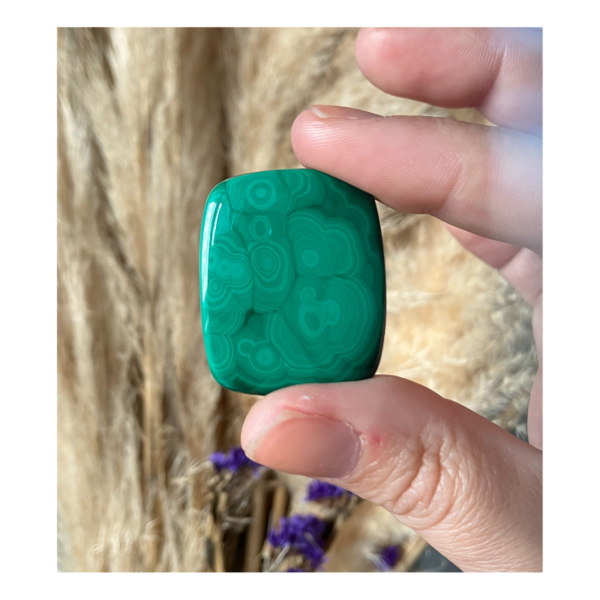 Cabochon Malachite Pierre Cabochon Malachite