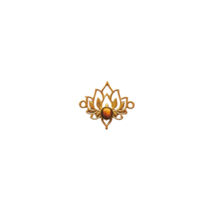 connecteur_lotus_Oeil_de_tigre- connecteur_lotus_Oeil_de_tigre-
